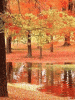 anim240320mobildesign.atw.hu_0023.gif